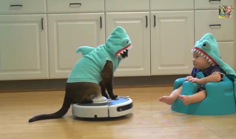 Cat Wearing Shark Costume Entertains 'SharkBaby' By Riding A Roomba